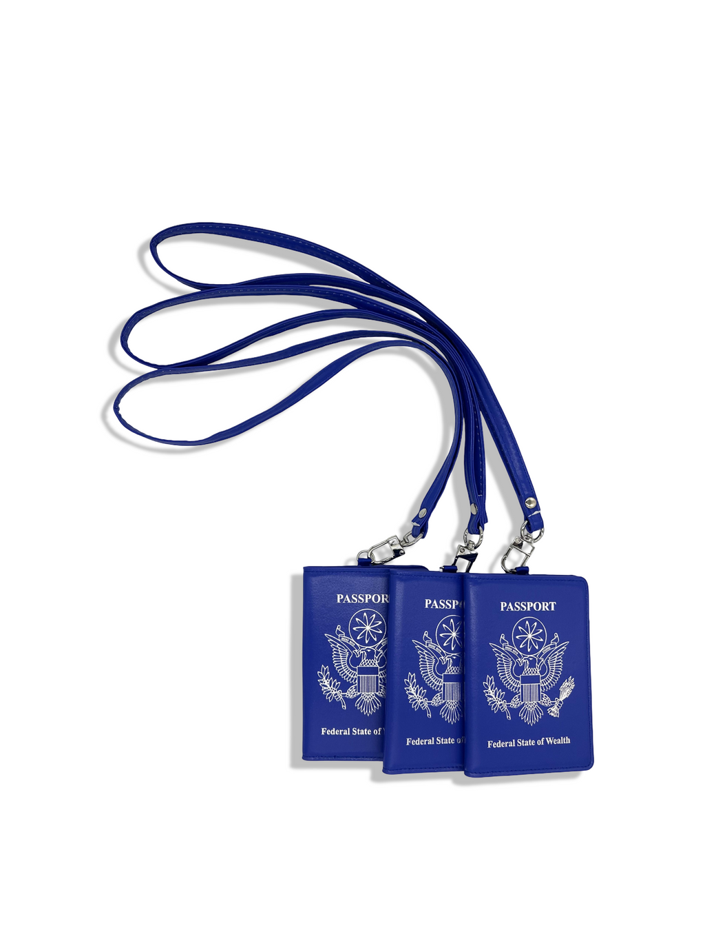Passport Cardholder Blue