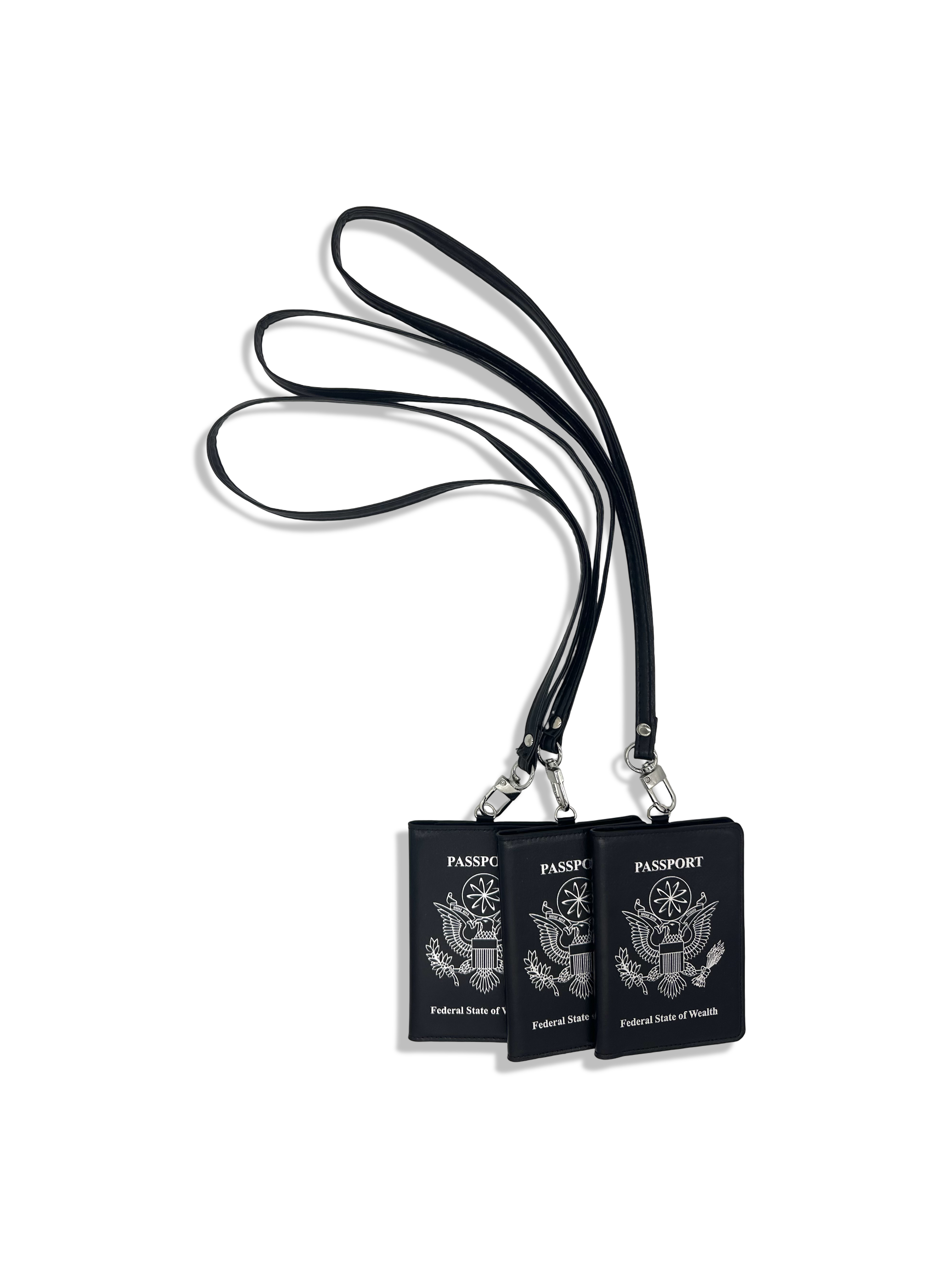 Passport Cardholder Black